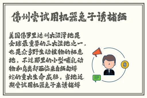 女孩吃小男孩小叮当